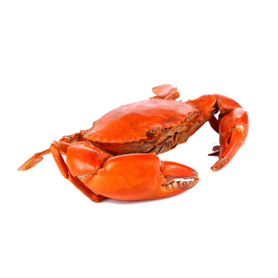 whole crab